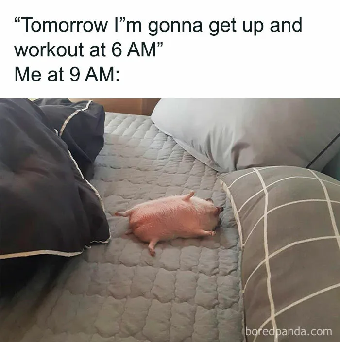 35 Zoom Memes Shared On This Online Group With Almost A Million Members (New Posts)