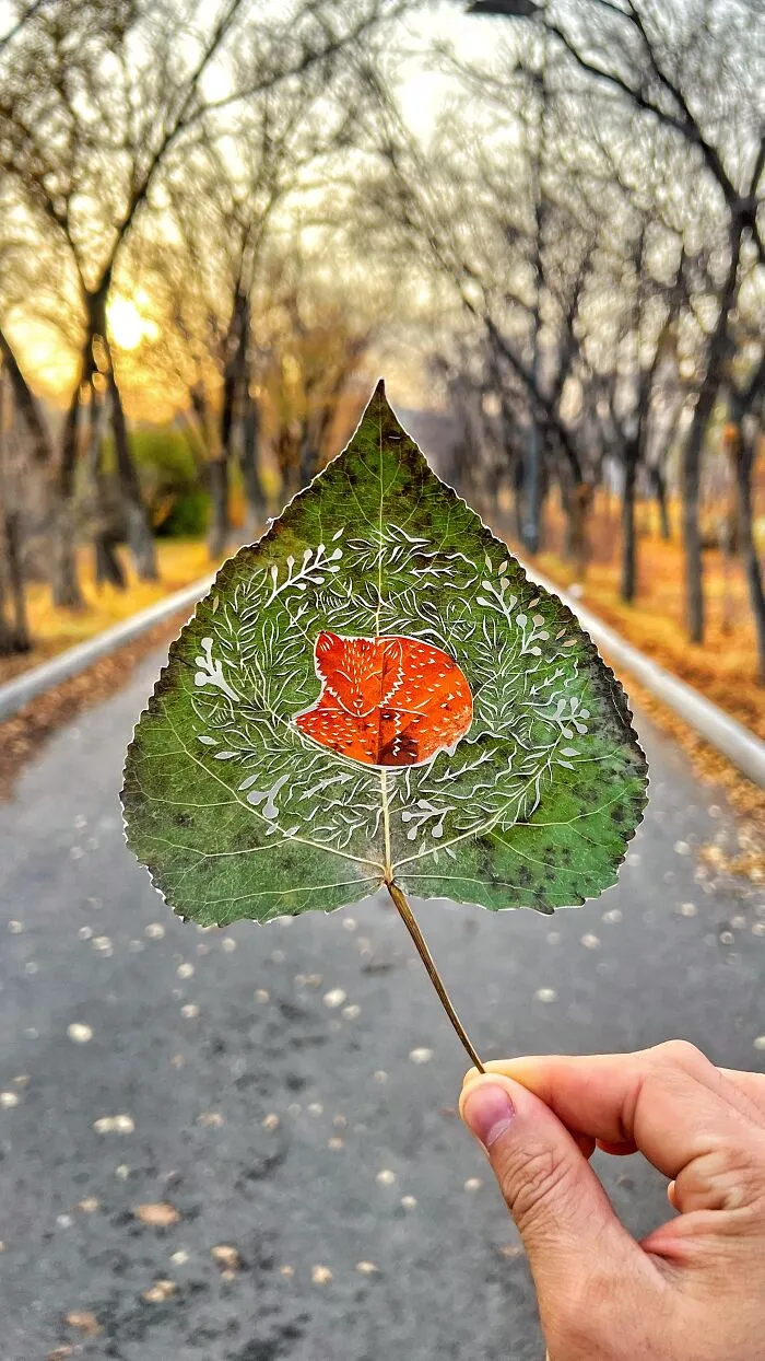 Experimenting With Two Leaves Combination