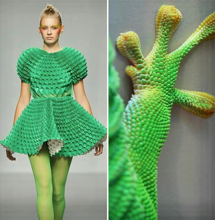 La moda suele inspirarse en la naturaleza y esta cuenta de Instagram lo demuestra (30 nuevas fotos)