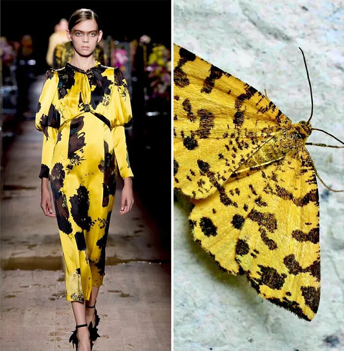 La moda suele inspirarse en la naturaleza y esta cuenta de Instagram lo demuestra (30 nuevas fotos)