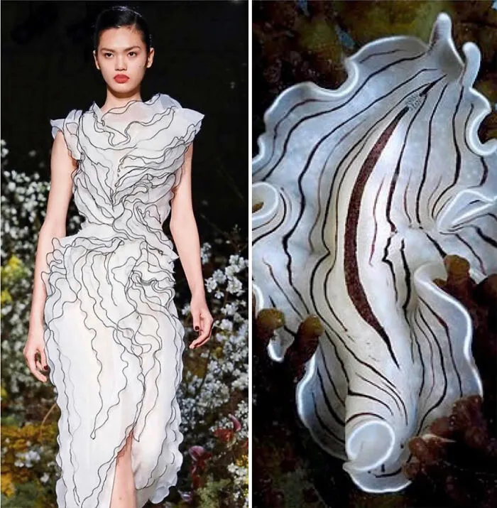 La moda suele inspirarse en la naturaleza y esta cuenta de Instagram lo demuestra (30 nuevas fotos)
