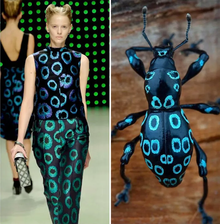 La moda suele inspirarse en la naturaleza y esta cuenta de Instagram lo demuestra (30 nuevas fotos)