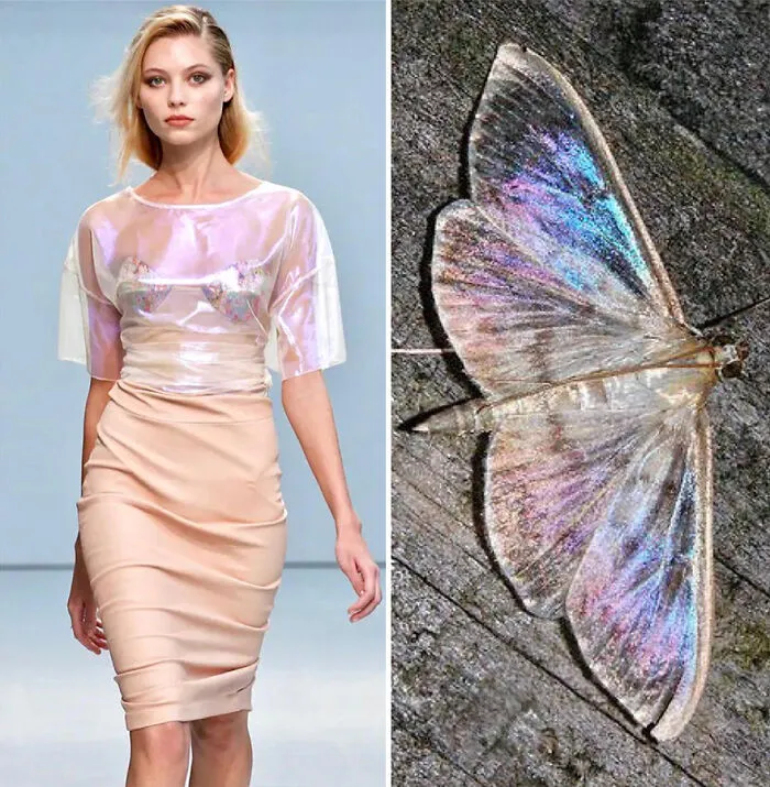 La moda suele inspirarse en la naturaleza y esta cuenta de Instagram lo demuestra (30 nuevas fotos)