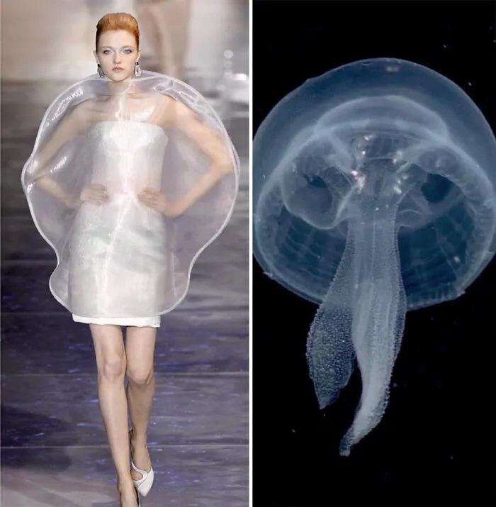 Fashion Often Draws Inspiration From Nature And This Instagram Account Proves It (30 New Pics)