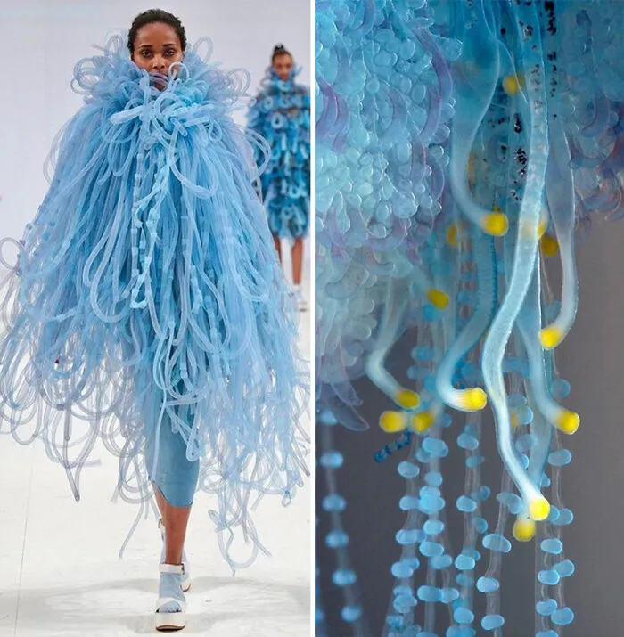 Fashion Often Draws Inspiration From Nature And This Instagram Account Proves It (30 New Pics)