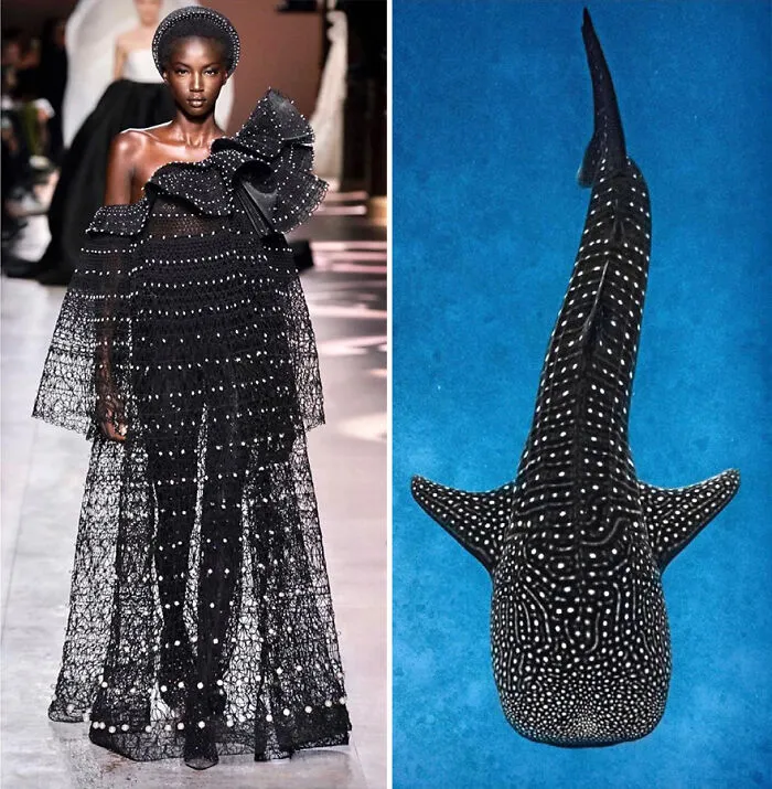 La moda suele inspirarse en la naturaleza y esta cuenta de Instagram lo demuestra (30 nuevas fotos)