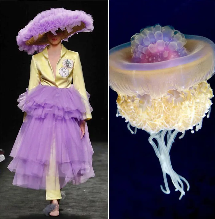 La moda suele inspirarse en la naturaleza y esta cuenta de Instagram lo demuestra (30 nuevas fotos)