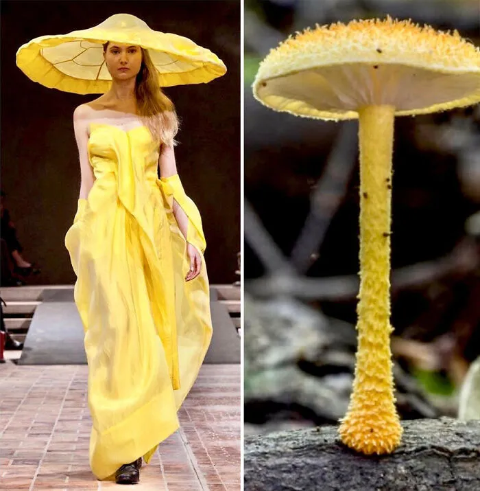 La moda suele inspirarse en la naturaleza y esta cuenta de Instagram lo demuestra (30 nuevas fotos)