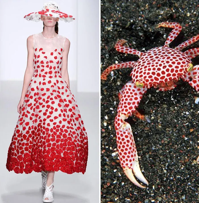 Fashion Often Draws Inspiration From Nature And This Instagram Account Proves It (30 New Pics)