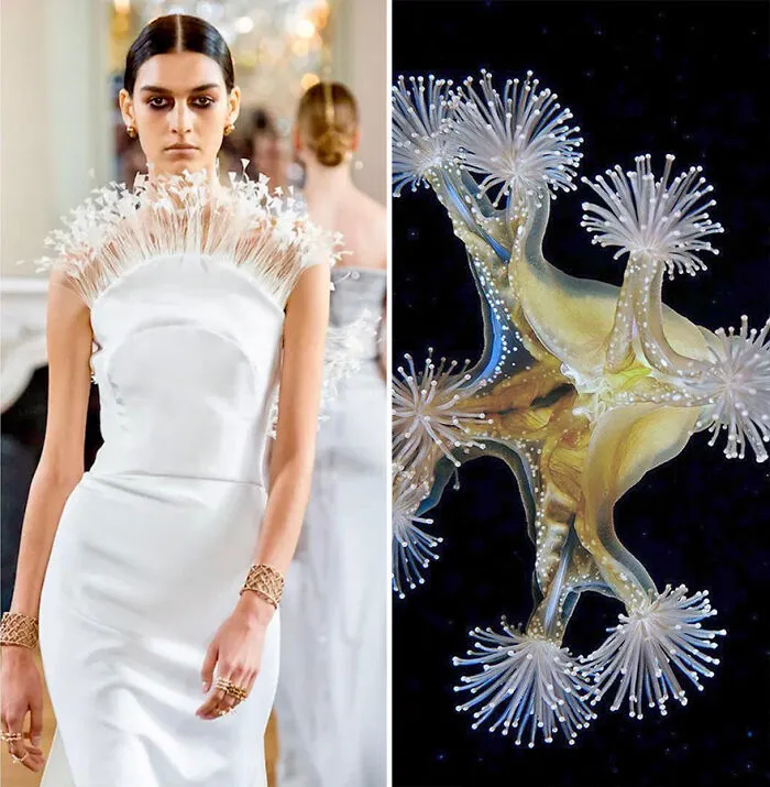 La moda suele inspirarse en la naturaleza y esta cuenta de Instagram lo demuestra (30 nuevas fotos)
