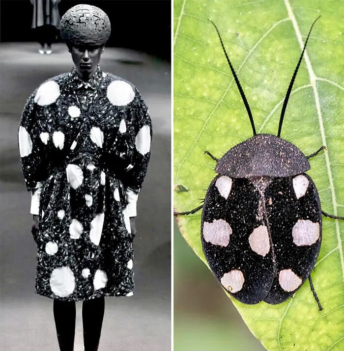 Fashion Often Draws Inspiration From Nature And This Instagram Account Proves It (30 New Pics)