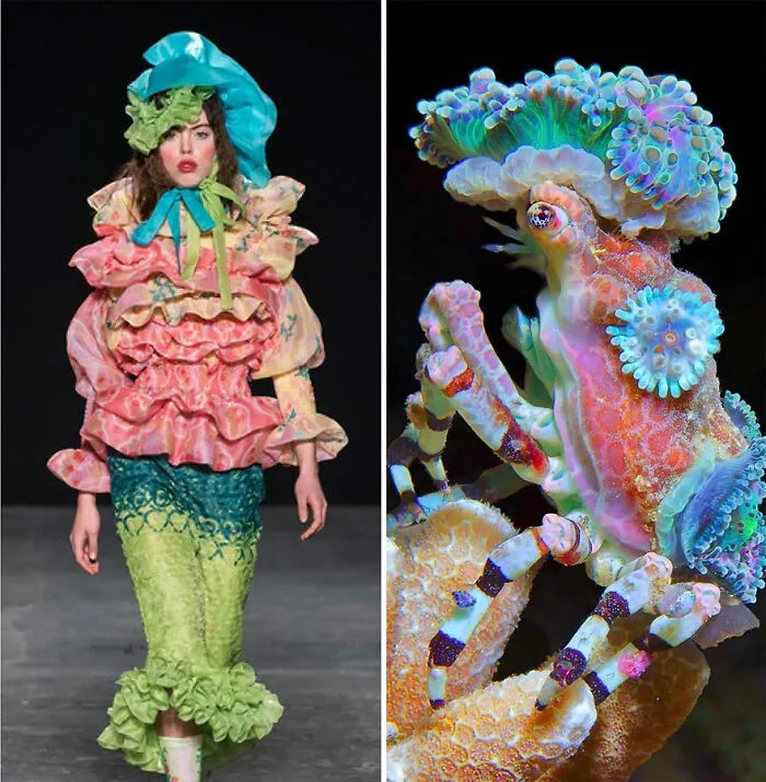 Fashion Often Draws Inspiration From Nature And This Instagram Account Proves It (30 New Pics)