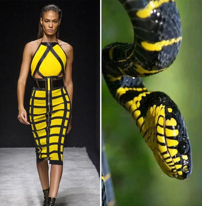 La moda suele inspirarse en la naturaleza y esta cuenta de Instagram lo demuestra (30 nuevas fotos)