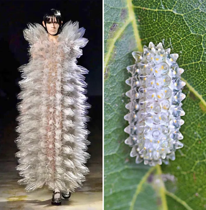 Fashion Often Draws Inspiration From Nature And This Instagram Account Proves It (30 New Pics)