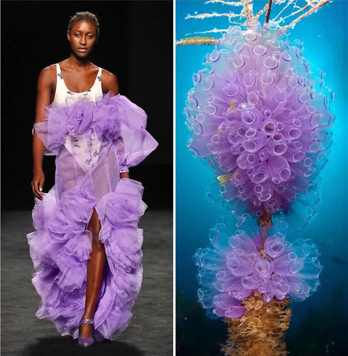 Fashion Often Draws Inspiration From Nature And This Instagram Account Proves It (30 New Pics)