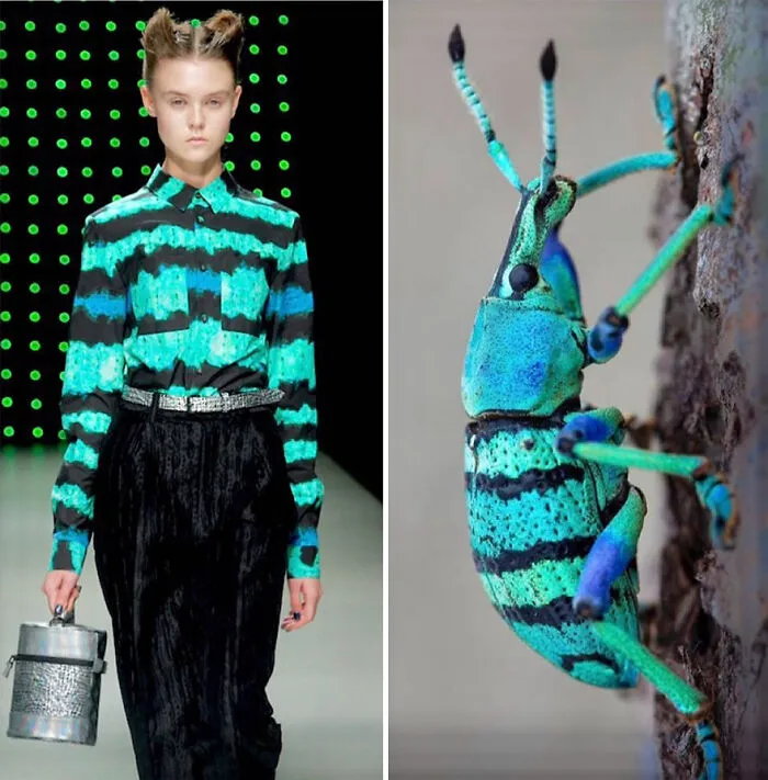 La moda suele inspirarse en la naturaleza y esta cuenta de Instagram lo demuestra (30 nuevas fotos)