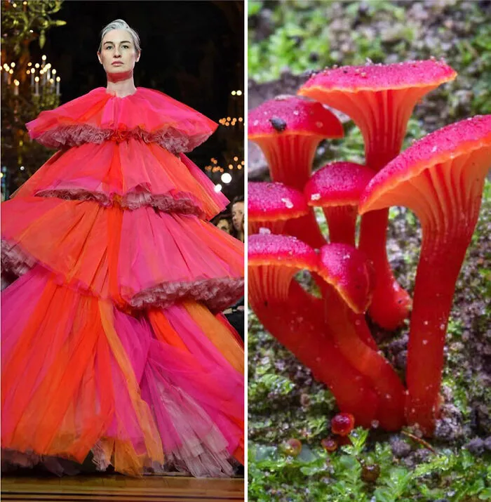 Fashion Often Draws Inspiration From Nature And This Instagram Account Proves It (30 New Pics)