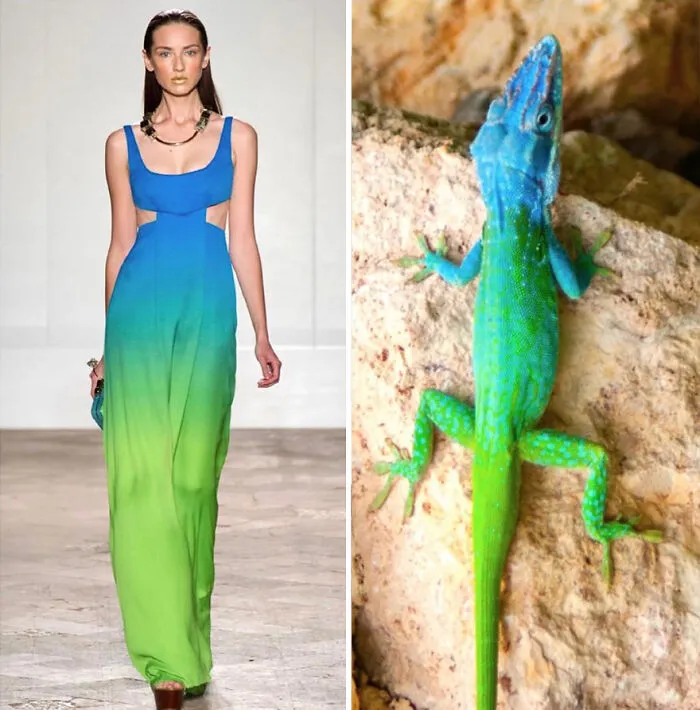 Fashion Often Draws Inspiration From Nature And This Instagram Account Proves It (30 New Pics)