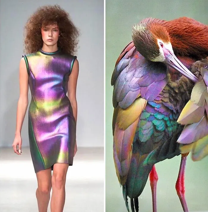 La moda suele inspirarse en la naturaleza y esta cuenta de Instagram lo demuestra (30 nuevas fotos)