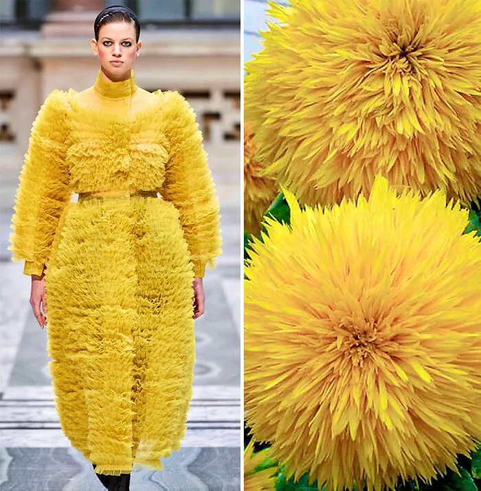 Fashion Often Draws Inspiration From Nature And This Instagram Account Proves It (30 New Pics)