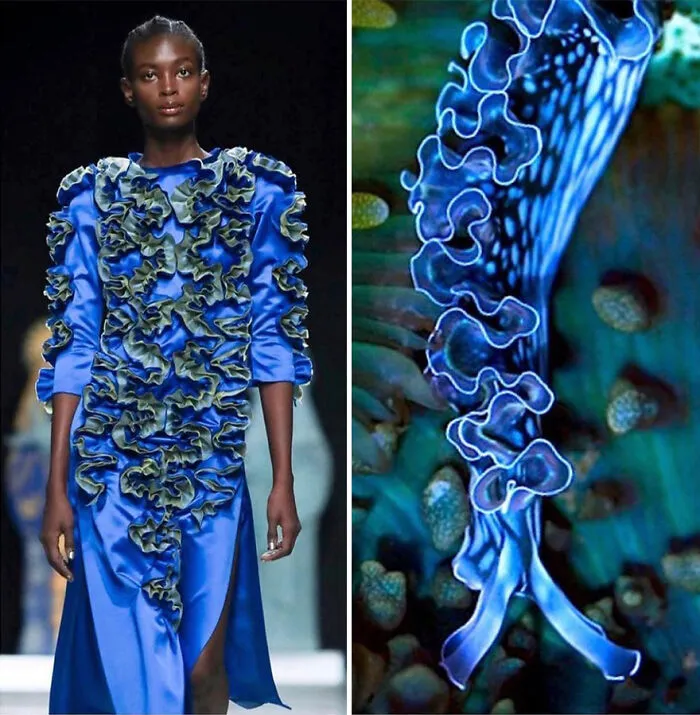 La moda suele inspirarse en la naturaleza y esta cuenta de Instagram lo demuestra (30 nuevas fotos)