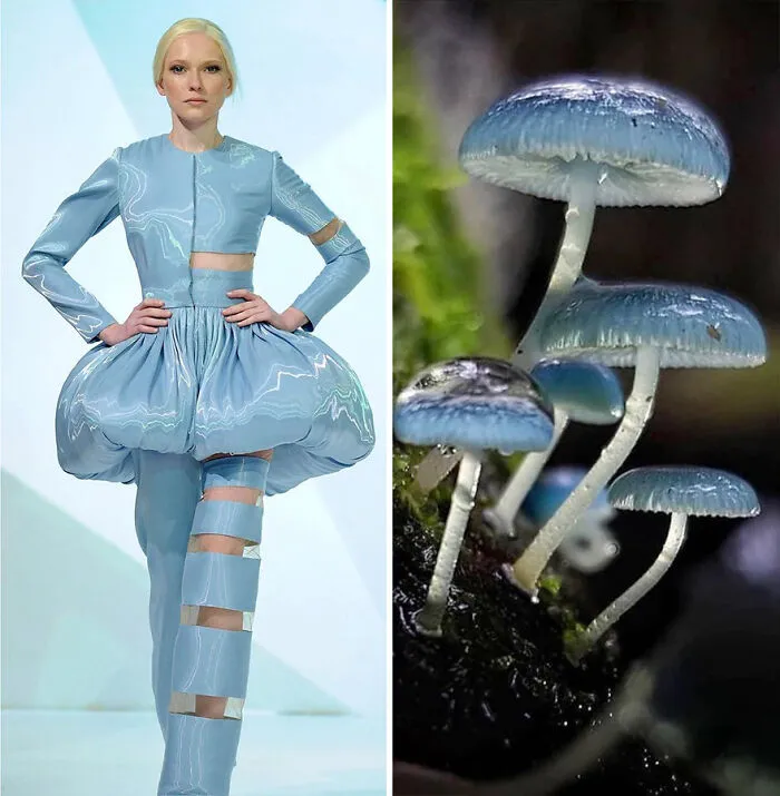 La moda suele inspirarse en la naturaleza y esta cuenta de Instagram lo demuestra (30 nuevas fotos)