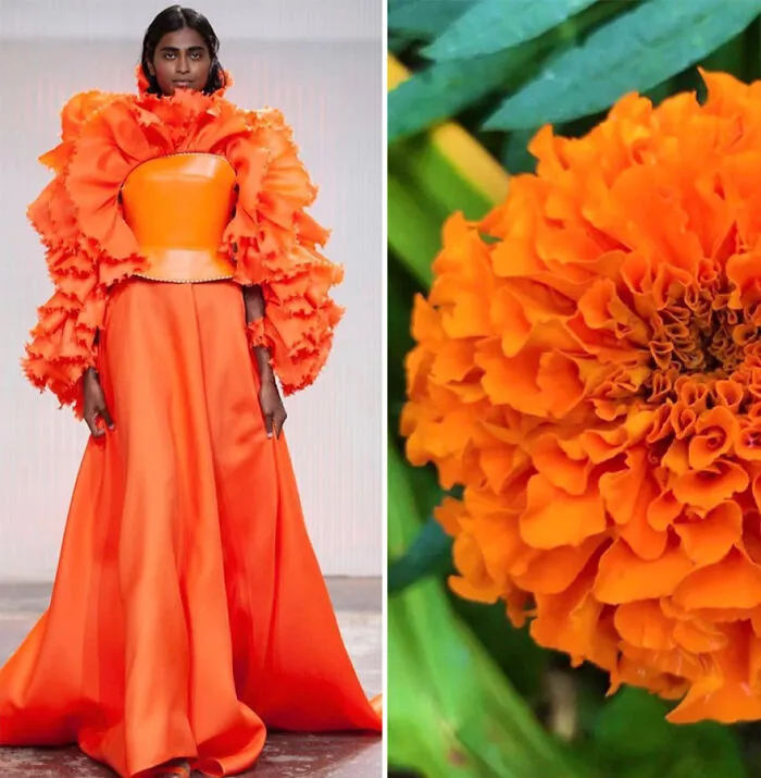 La moda suele inspirarse en la naturaleza y esta cuenta de Instagram lo demuestra (30 nuevas fotos)