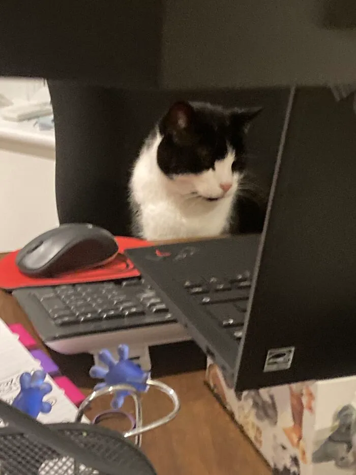 This Is Bart, Doing My Job For Me!