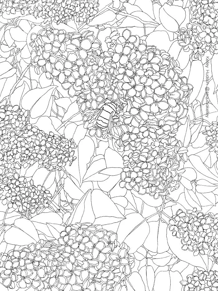 Lilacs