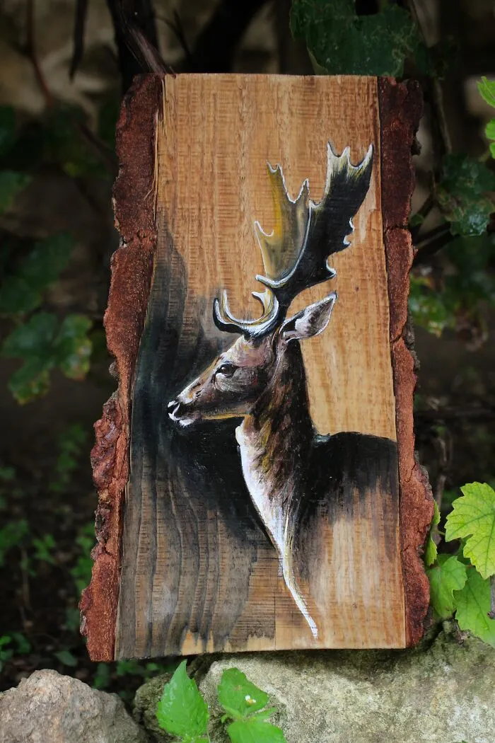 I Am A Functional Artist Who Gives New Life To Ordinary Objects In The Household (19 New Pics)