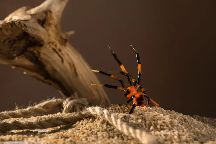 I Create Glass Spider Figurines In Spite Of The Constant Problems With The Electricity (6 Pics)