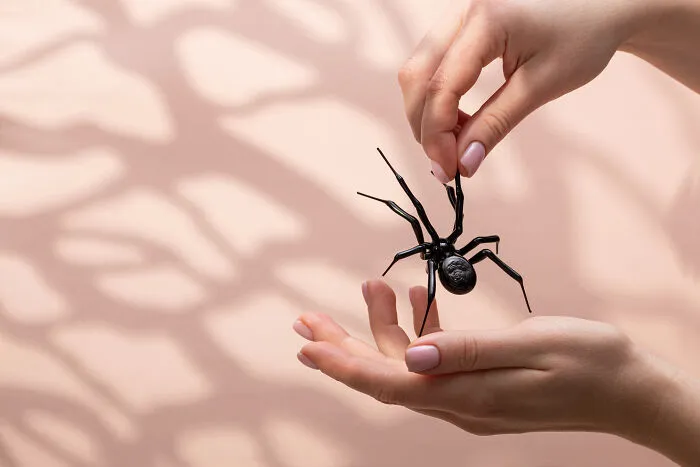 I Create Glass Spider Figurines In Spite Of The Constant Problems With The Electricity (6 Pics)