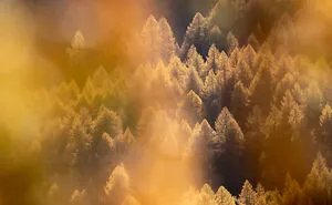 31 Pictures Of Beautiful Swiss Landscapes That I Captured While Traveling There In Autumn