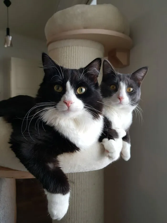 Sipi And Morris!