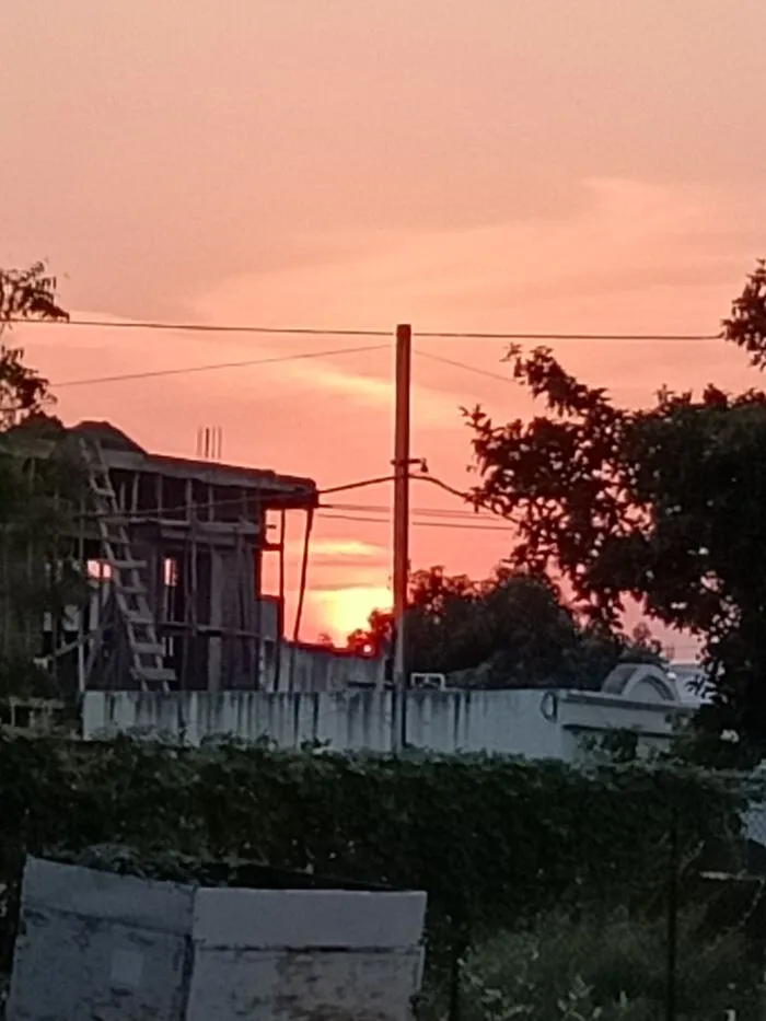 Took This Picture On My Way Home