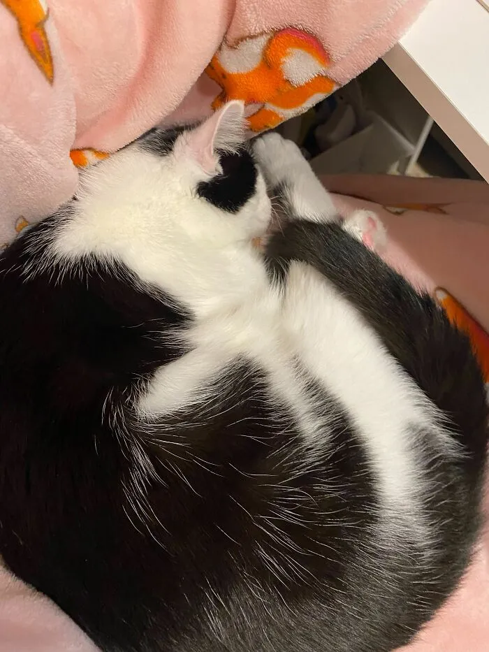 A Little Shrimp Pose Going On Here