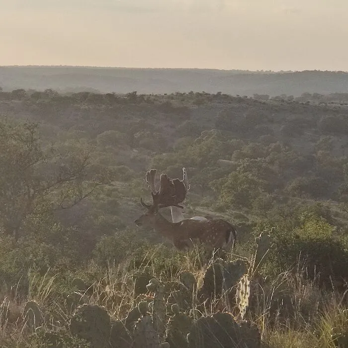 My Cousins Ranch In The Texas Hill Country