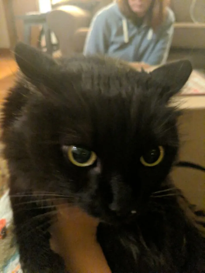 Aita??