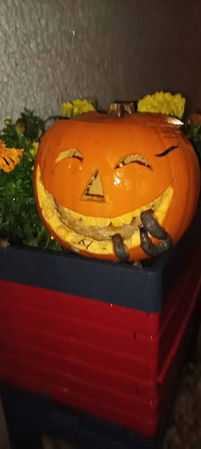 After 24 Hours Of Being Outside, My Pumpkin List It's Bottom Teeth .. I Hate Slughs