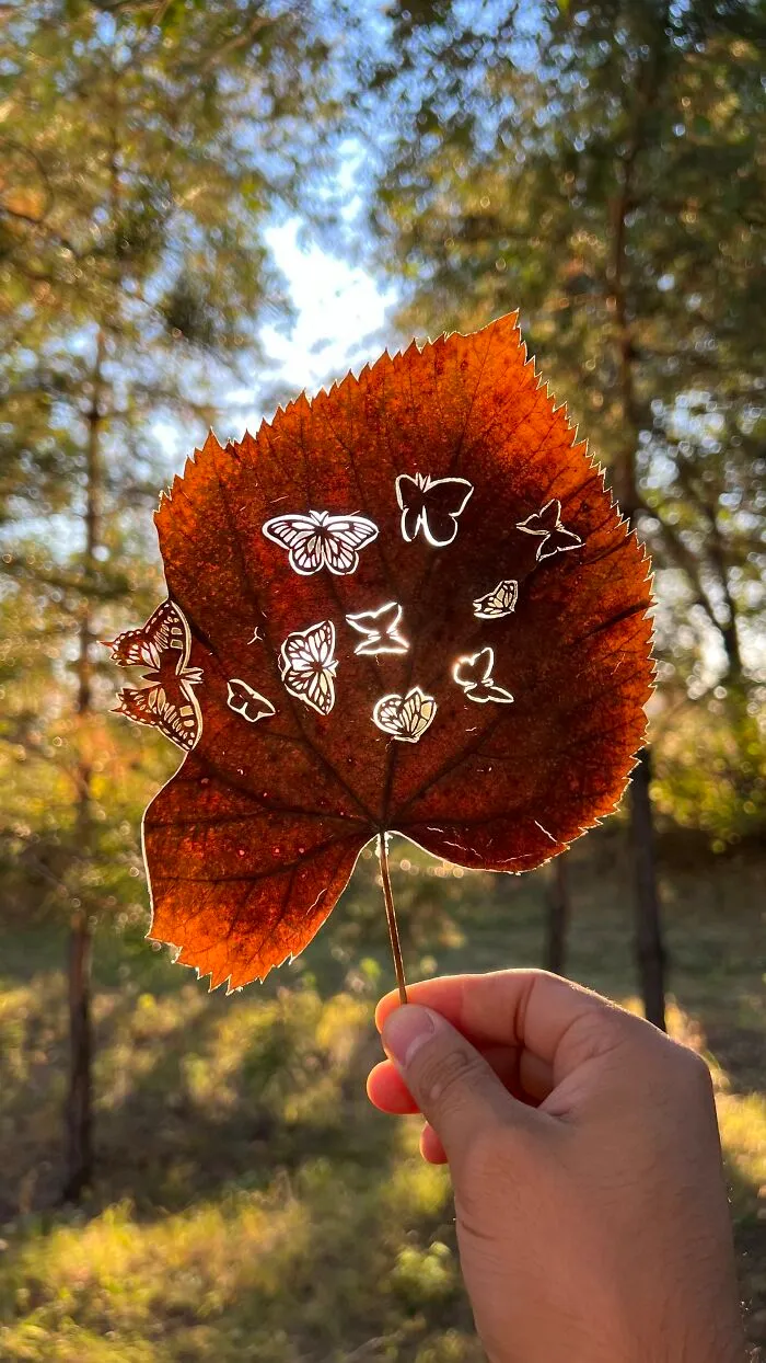 Butterflies