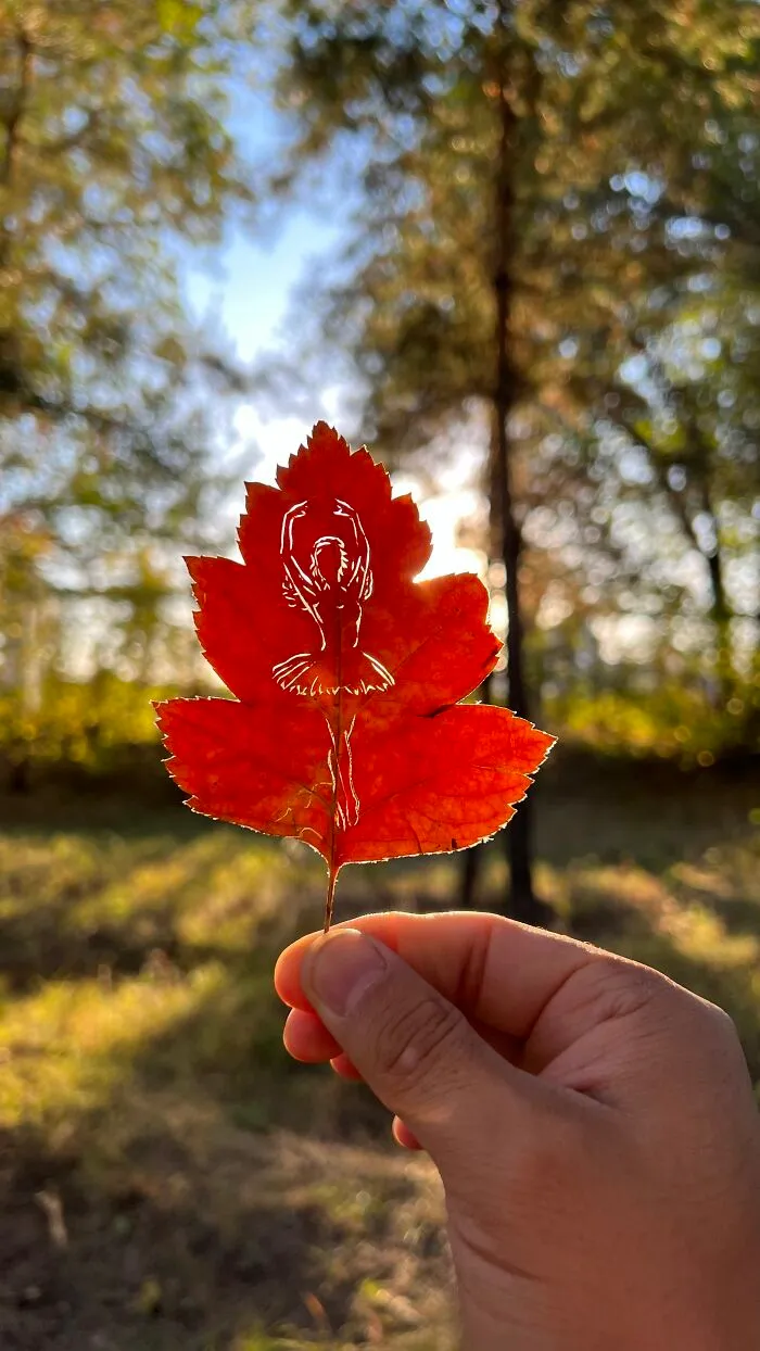 Nature Dance