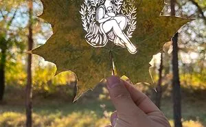I Made Cutouts On A Real Tree Leaf (13 Pics)