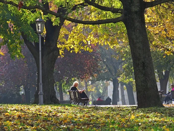 Perfect Autumn Day