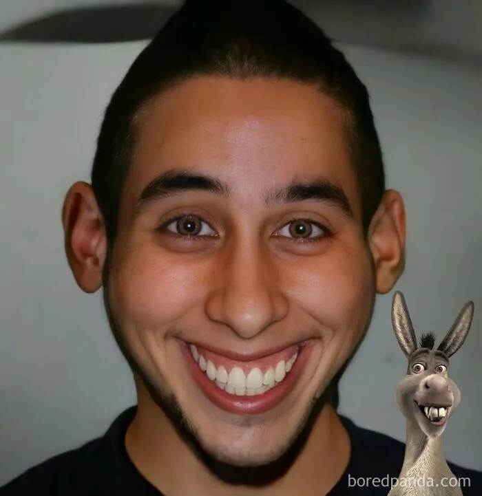 Donkey