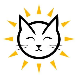 INSPIRED CAT DAILY