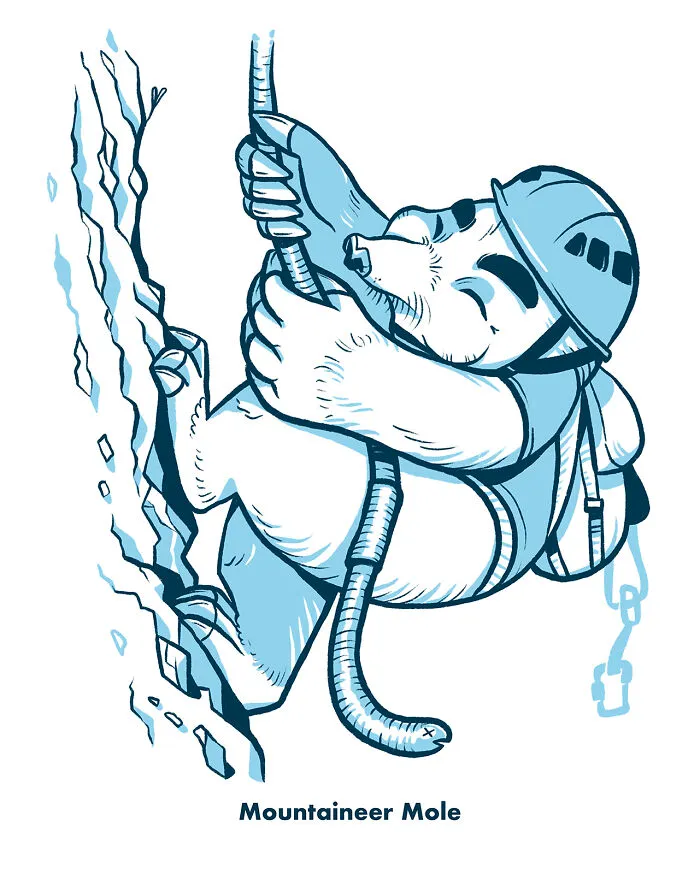 Mountaineer Mole