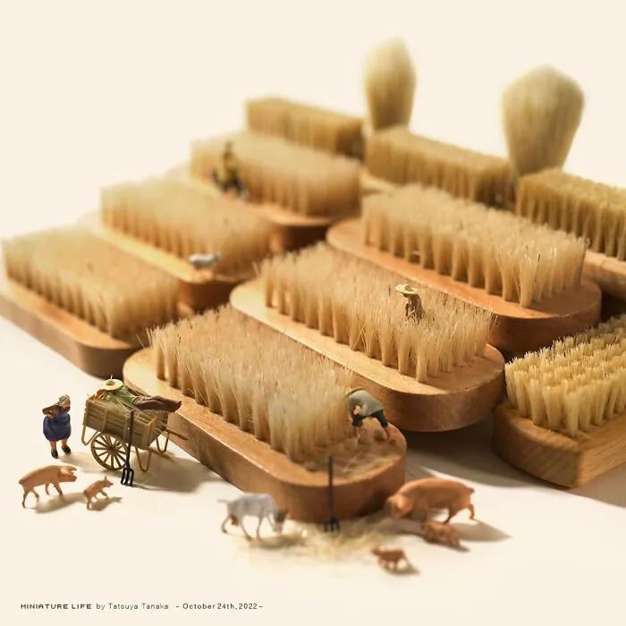40 Tiny Magical Worlds Created By This Japanese Artist (New Pics)