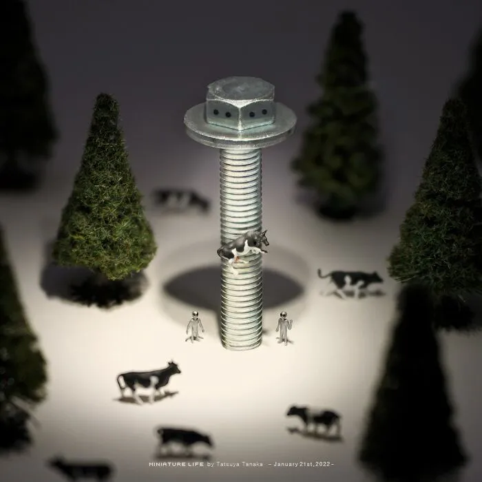 40 Tiny Magical Worlds Created By This Japanese Artist (New Pics)