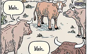 Dan Piraro's 40 Silly And Funny Single-Panel Comics With Unexpectedly Absurd Situations