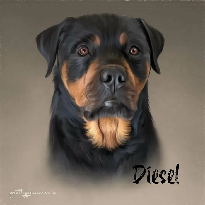I Specialize In Turning Your Favorite Pet Photos Into Custom Digital Portraits (8 Pics)